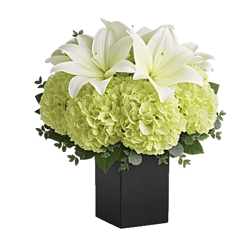 Ivory Blossom Radiance