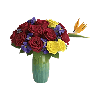 Radiant Rose Symphony