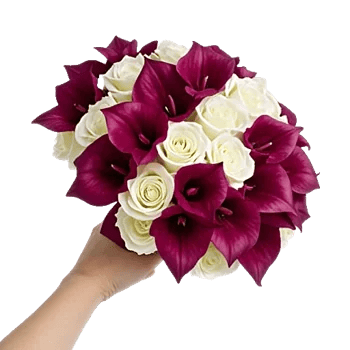 Blushing Rose Symphony