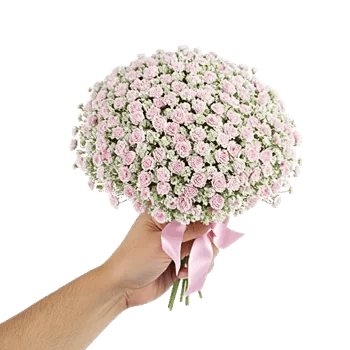 Blossom Radiant Whisper