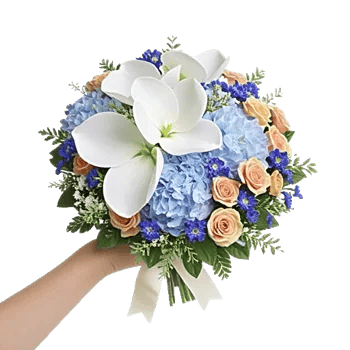 Serene Petal Harmony