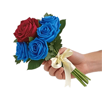 Crimson Rose Elegance