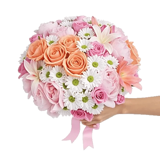 Pastel Pink Roses