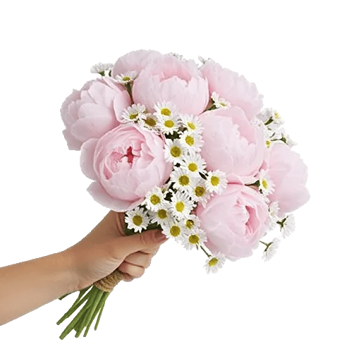 Peony Petal Harmony