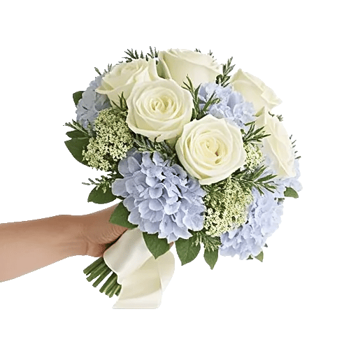 Serene Petal Harmony