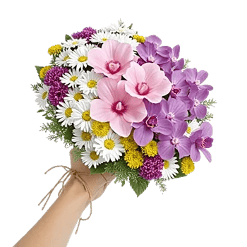 Petal Grace Harmony