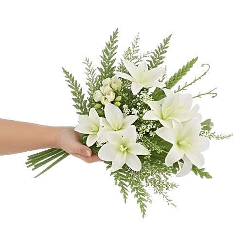 Minimalist White Orchids