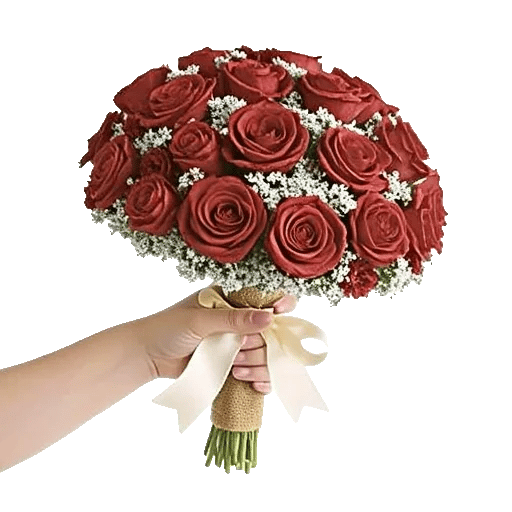 Blushing Rose Symphony