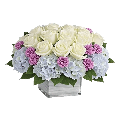 Ivory Blossom Radiance