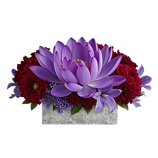 Petal Radiance Bliss