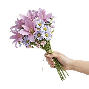 Blossom Petal Serenity