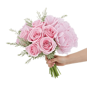 Pastel Pink Roses