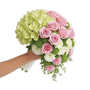 Ivory Garden Grace