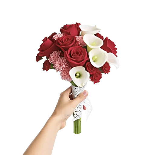 Crimson Rose Elegance