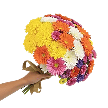 Blossom Harmony Display