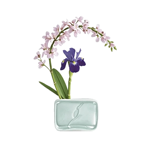 Ivory Blossom Radiance