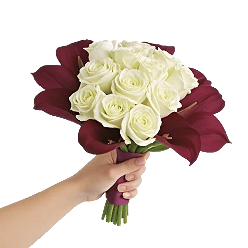 Elegant Calla Lilies