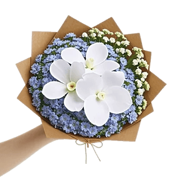 Minimalist White Orchids