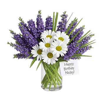 Enchanting Daisy Garden