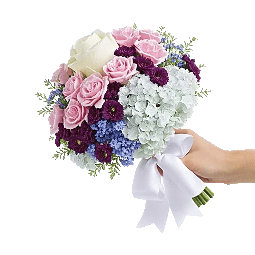 Serene Petal Harmony