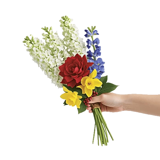 Blossom Harmony Display