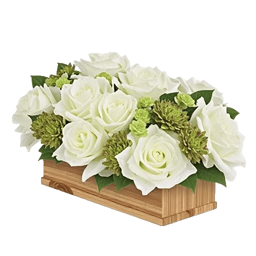 Delicate Petal Cascade