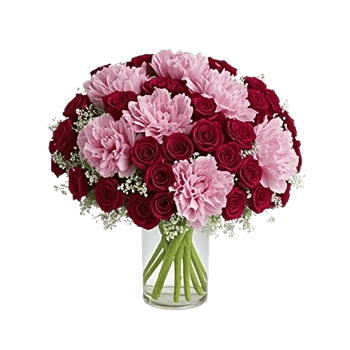 Pink Pastel Roses