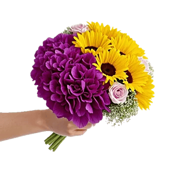 Serene Petal Harmony