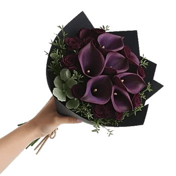 Elegant Calla Lilies