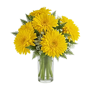 Petal Radiance Bliss