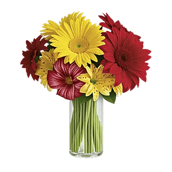 Petal Radiance Bliss