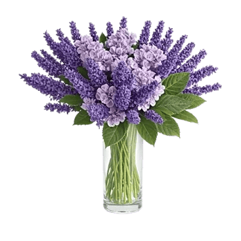 Lavender Bloom Grace