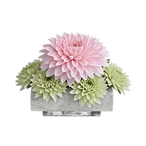 Graceful Lily Display