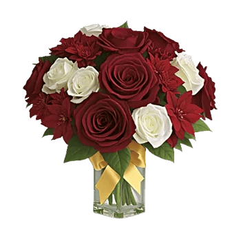 Crimson Rose Elegance
