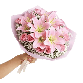 Blushing Rose Symphony