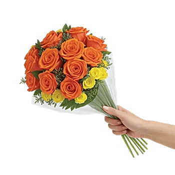 Radiant Rose Symphony