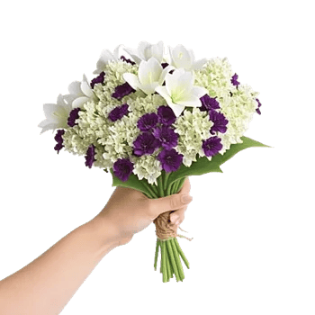 Ivory Blossom Radiance