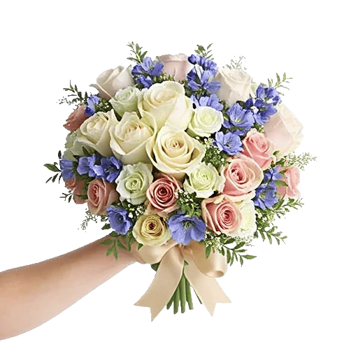 Blushing Rose Symphony