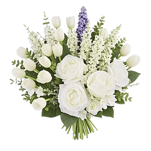 Ivory Blossom Radiance