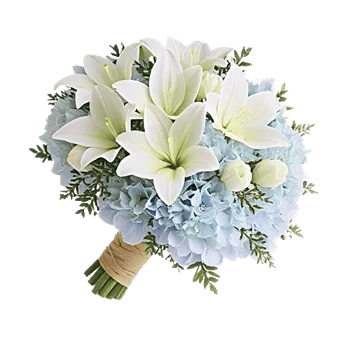 Ivory Blossom Radiance