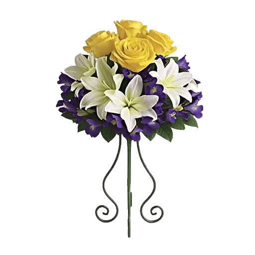 Ivory Blossom Radiance