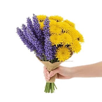 Lavender Bloom Grace