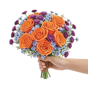 Petal Harmony Bliss