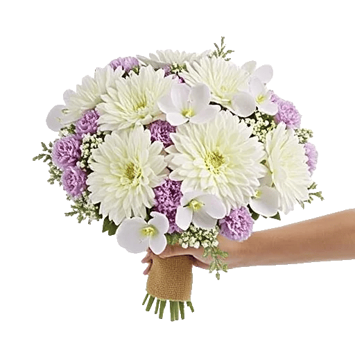 Minimalist White Orchids