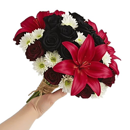 Blushing Rose Symphony