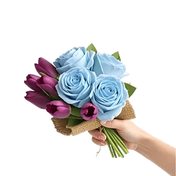 Velvet Tulip Display