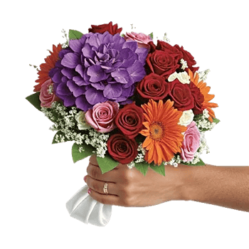 Petal Harmony Bliss