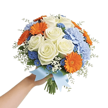 Serene Petal Harmony