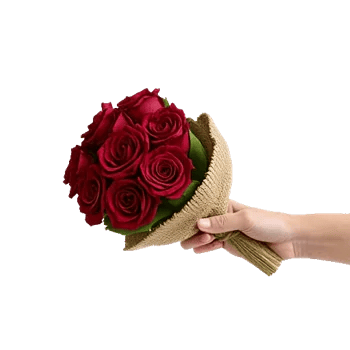 Crimson Rose Elegance