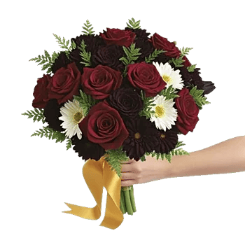 Deep Red Foliage